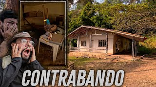 Download Lagu DESCOBRIMOS UM SÍTIO ESCONDIDO NA MATA COM VESTÍGIOS DE ALGO ILEGAL – MOMENTO TENSO! MP3 Download Lagu DESCOBRIMOS UM SÍTIO ESCONDIDO NA MATA COM VESTÍGIOS DE ALGO ILEGAL – MOMENTO TENSO! MP3