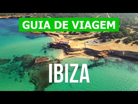 Vídeo: Hipoalergènic, De Salut I De Vida De Raça De Gos De Gos De Ibiza