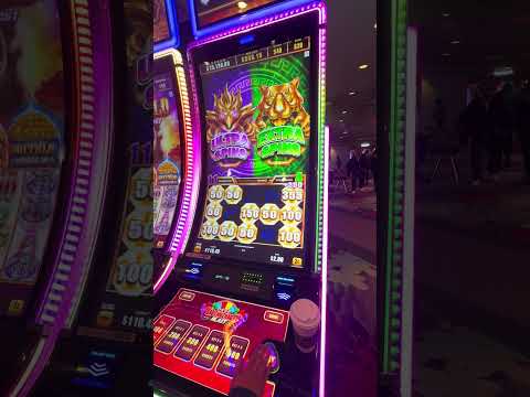 La Mini Mini- La Concentracion- Casino Nogales