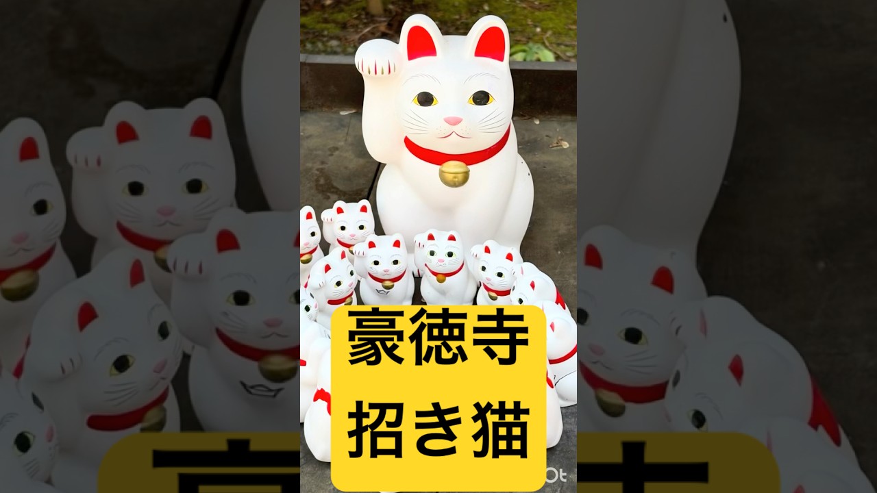 豪徳寺「招き猫(招福猫児)」 - YouTube