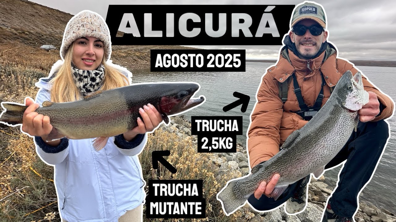 Pesca trucha mutante y trucha gigante en Alicurá