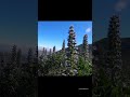 Wanderung zur Blüte des blauen Natternkopf auf Gran Canaria.