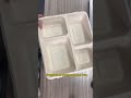 Disposable Divided Sectional Trays, Microwave Freezer Safe for Party School, compartment paper plate