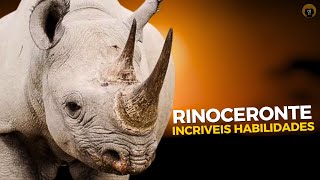 Rinocerontes: Os Gigantes da Savana - Imponentes