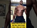 Anthony Joshua training routine