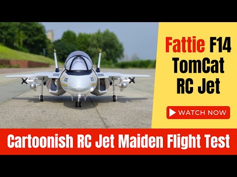 Fattie RC F14 TomCat RC Jet Maiden Flight Cartoon RC Jet