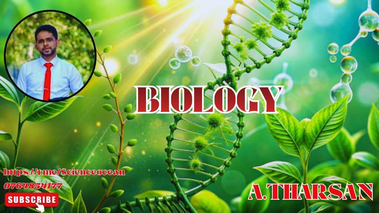 Allosteric regulation of enzymes| Advanced level Biology| Tharsan | ATS ...