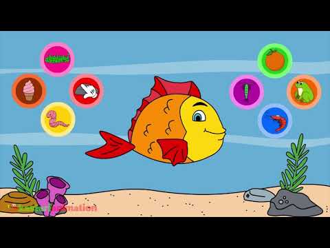 Video: Ikan makan apa?
