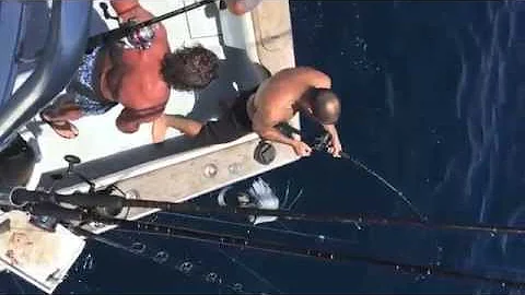 Gregory Casey, DDS catches BEST HUGE 400 pound Gol...