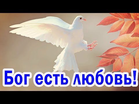 Бог есть любовь Стихи