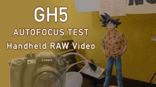 Gh5 AUTOFOCUS TEST ( RAW &amp; handhelded)