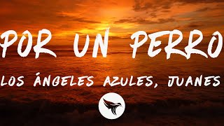 Los Ángeles Azules, Juanes - Por Un Perro (Letra/Lyrics)