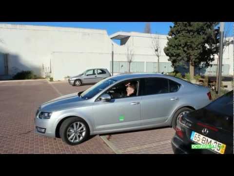 Park Assist Skoda