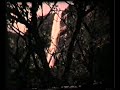 Kundelungu Chutes De La Lofoï Par Le Bas 1975 Congo Lualaba VHS13 By HabariSalam Kundelungu Chutes De La Lofoï Par Le Bas 1975 Congo Lualaba VHS13 By HabariSalam