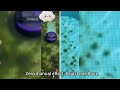 Stop using chemicals to clean your pool!!!
