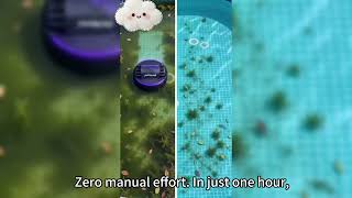 Stop using chemicals to clean your pool!!!