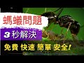 2 Natural Ant Control Methods Using Household Ingredients 快速解決螞蟻問題 自製殺蟲劑 三秒內解決螞蟻問題 免費 快速 簡單 安全 無毒 2 Natural Ant Control Methods Using Household Ingredients 快速解決螞蟻問題 自製殺蟲劑 三秒內解決螞蟻問題 免費 快速 簡單 安全 無毒