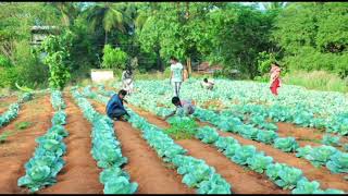NSS Regular Activities  Video