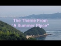 夏の日の恋/パーシー・フェイス・オーケストラ/1960/HD&amp;HQ