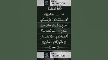 سوره فیل – لشکر فیل | تلاوت قوی قرآن