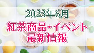 【2023年6月のオススメ】ルピシアブックオブティー新作、ラデュレ抹茶アフタヌーンティー、スタバティー&カフェ、紅茶かき氷専門店など