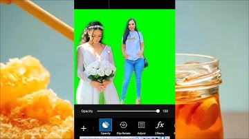 How To Joint Picture Editing Green Background #8000