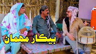 Bekar Mahman | Zakir Shaikh | Wahid Raza | Abdullah Mallah | Mawali | noro | Funny Clip