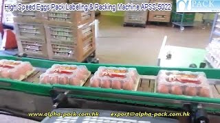 High Speed Eggs Pack Labeling & Packing Machine APSS-5022 High Speed Eggs Pack Labeling & Packing Machine APSS-5022