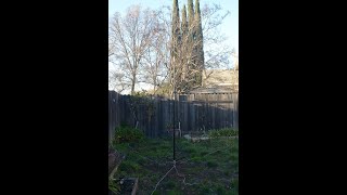 POTA Perfect Pole, HOA Antenna Camera Tripod Tips, You Can Make, with Jim Heath W6LG by Jim W6LG 2,198 views 4 months ago 7 minutes, 58 seconds