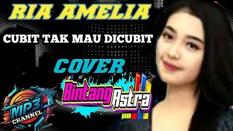 Cubit Tak Mau Dicubit-Nelly Agustin-Cover-Ria Amelia-Bintang Astra