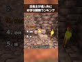マイクラ茶番で投稿主が個人的に気に入っている瞬間ランキング
