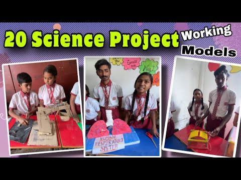 Top 20 Science Project 2024 🫁🧠 || Exhibition (Working models) 🔥🔥🔥 - YouTube