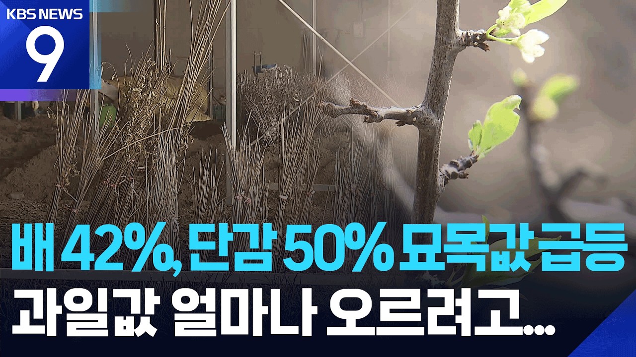 대형 산불에 기후변화까지…과수 묘목 품귀에 농가 울상 [9시 뉴스] / KBS  2026.03.11.