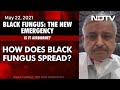 How Does Black Fungus Spread? AIIMS Chief Randeep Guleria Explains