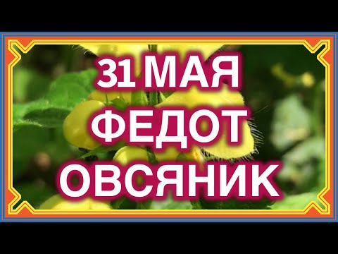 31 мая Федот Овсяник. Раньше готовили овсяный кисель и поливали им дуб