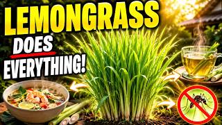 Why Millions Are Growing Lemongrass Again — The Ancient Plant That Does Almost Everything