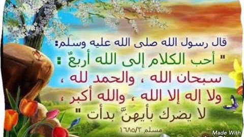 تلاوة رائعة تفوق الخيال لقاري سعيد دباح