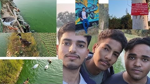 nit lake with abhi and tonny stark 😂😅❤️💖😉💫🔥 #nit #nitkkr #nitkurukshetra #vlog #vlogger #shorts