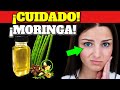 ¡ALERTA! El PELIGRO de la MORINGA es que NO LA TOMES!| INCREIBLES BENEFICIOS