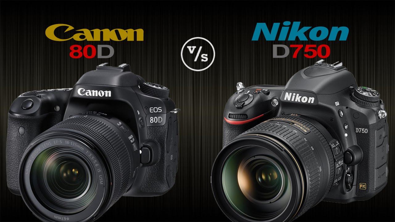 Canon nikon сравнение. Canon 750d. Nikon d7500 vs d750. Nikon d5600 и Canon 750d.