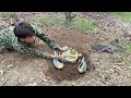 The Fierce Dragon Snake We Found A Precious Treasure In My Hometown It Was A Surprise