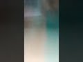 الهبل