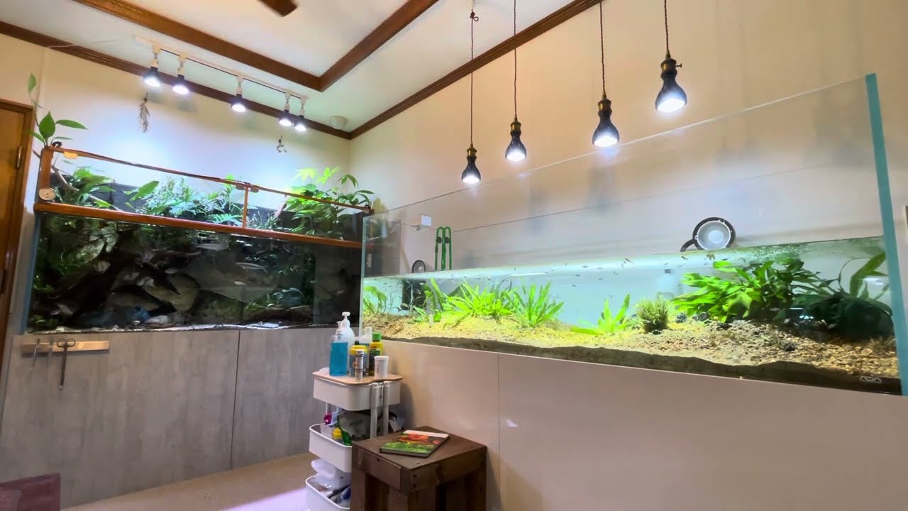 大幅値下げ180cm2段水槽