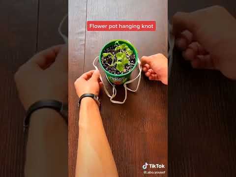 طريقه تعليق الزرع