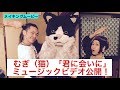 むぎ(猫)「君に会いに」MV公開!メイキング