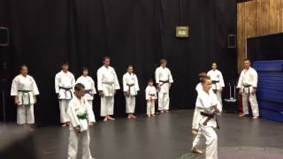 Minakami Karate