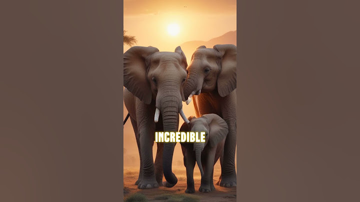Discover 5 Amazing Facts About Elephants