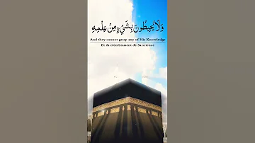 أية الكرسي بصوت الشيخ ياسر الدوسري 