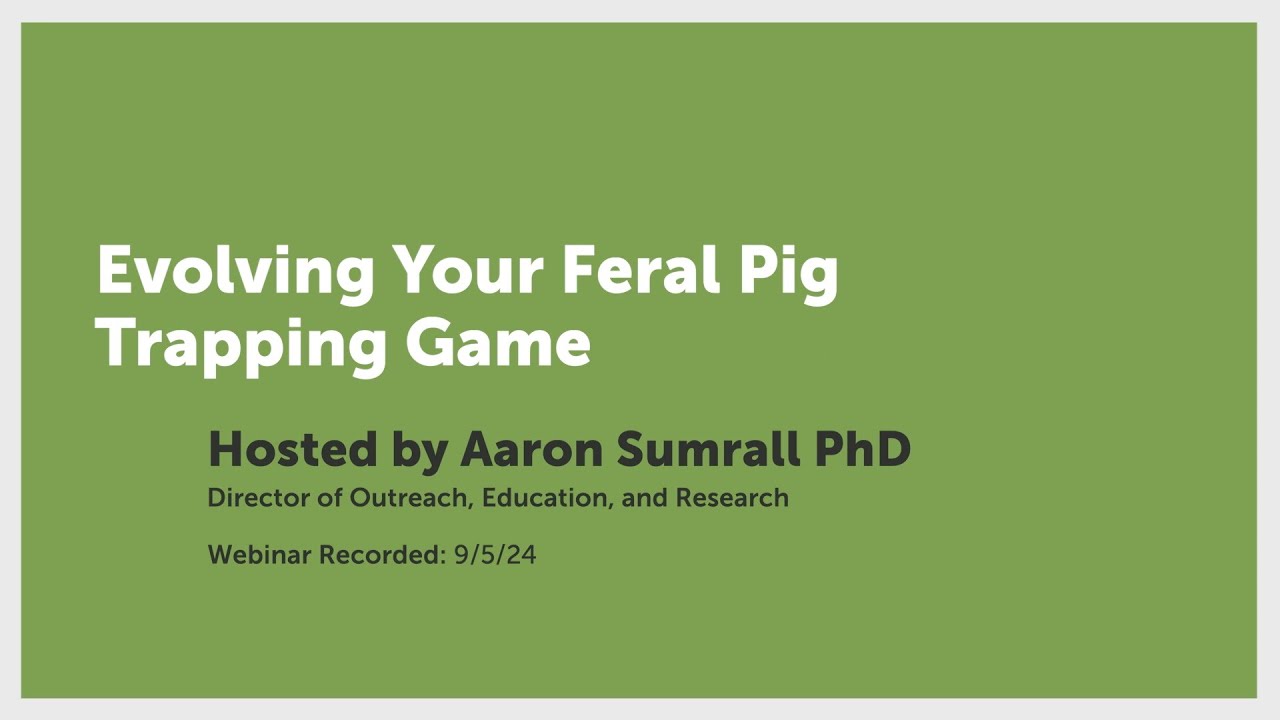 Evolving Your Feral Pig Trapping Game | Pig Brig Trap Systems - YouTube