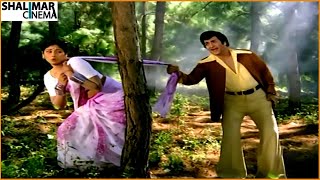 Vangamaaku Video Song || Driver Ramudu Movie || NTR,Jayasudha || Shalimarcinema